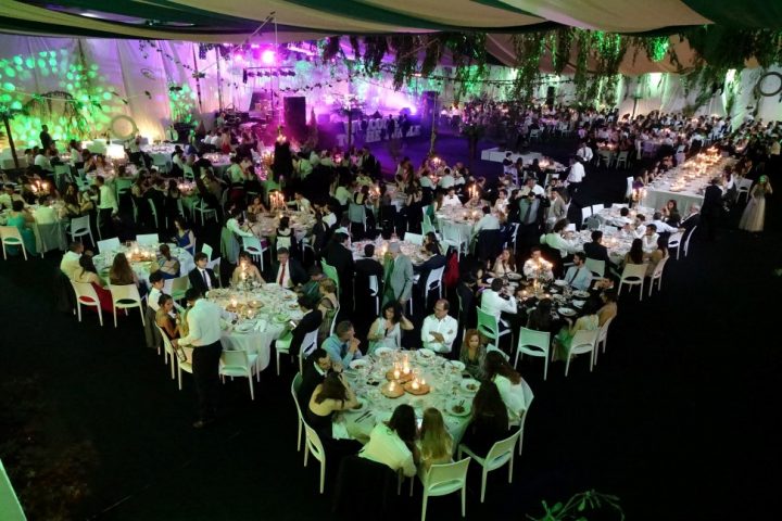 baile_gala 138 Custom